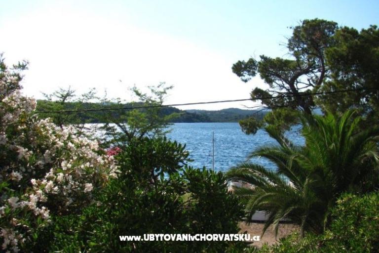 Apartmanok Morana – fotó 15