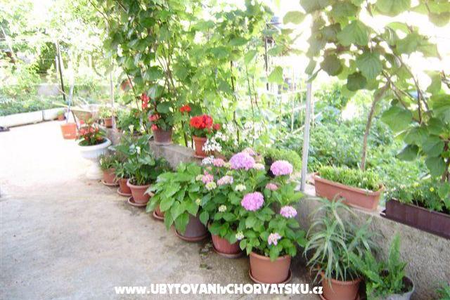 Apartaments Samanic – fotó 7