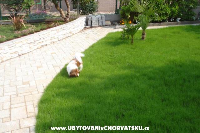 Apartman ETA – fotó 5