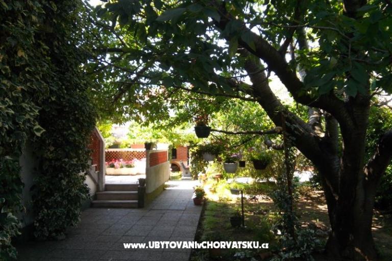 Apartmanok Branko – fotó 18