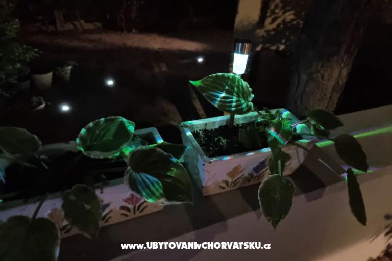 Apartmanok Casia – fotó 16