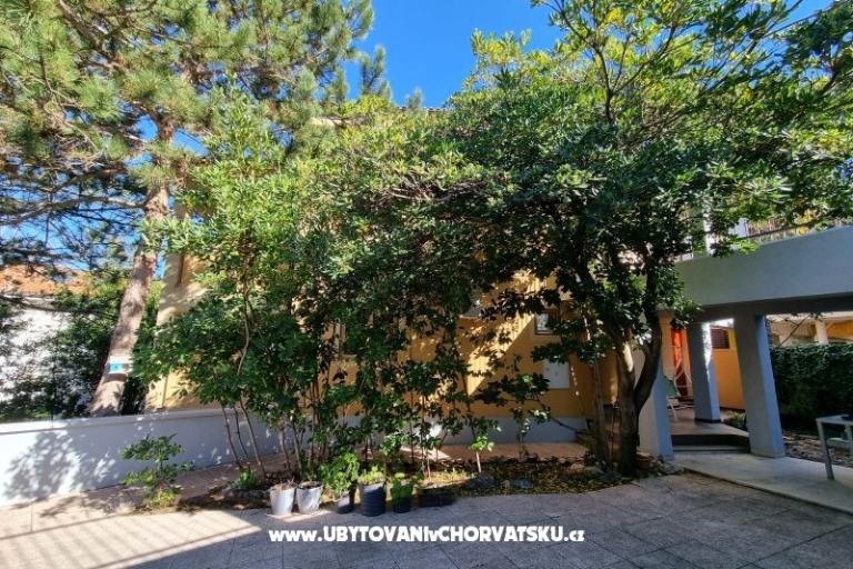 Apartmanok Casia – fotó 6