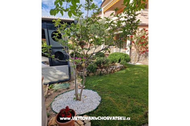 Apartmanok Fanuko – fotó 19