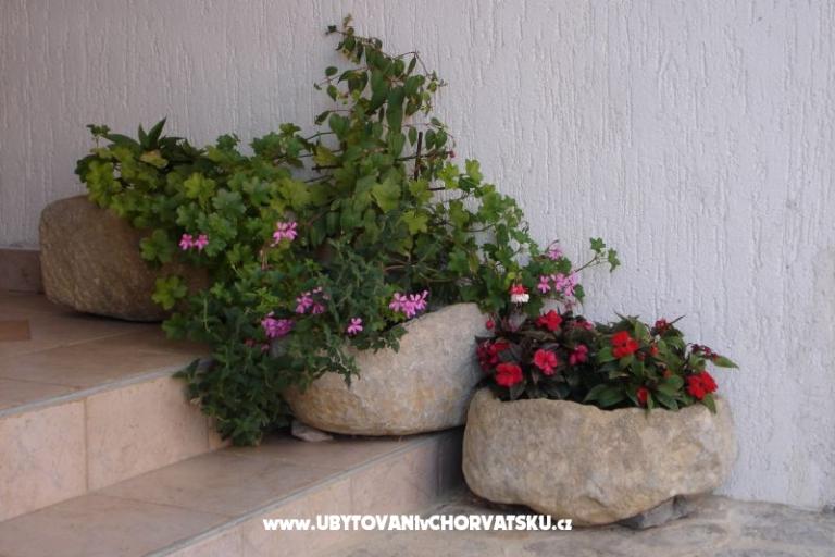 Apartmanok Grzalja-Rozic Krk – fotó 14