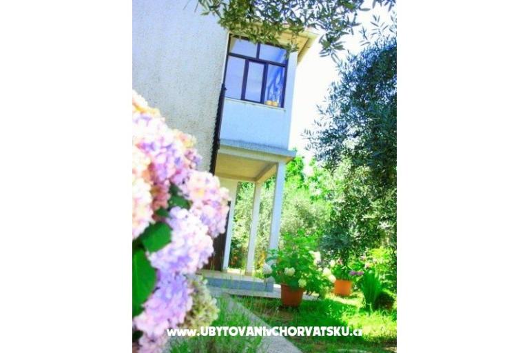 Apartmanok Krk-Hydrangea – fotó 12