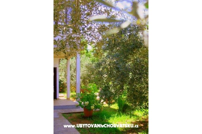 Apartmanok Krk-Hydrangea – fotó 14