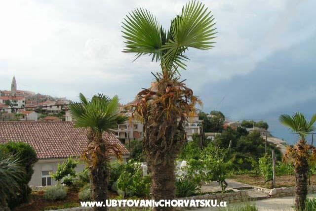 Apartmanok Maja – fotó 6