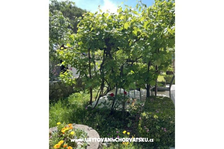 Apartmanok Matea – fotó 22