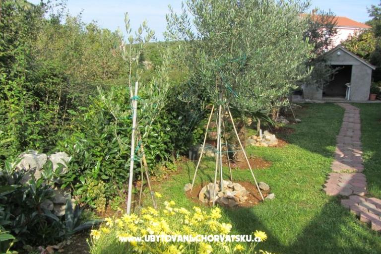 Apartmanok Perišić – fotó 14