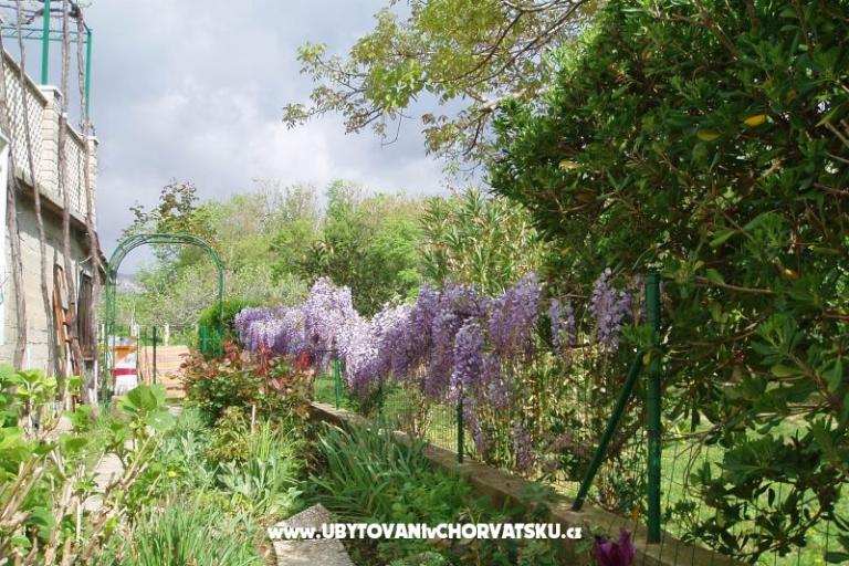 Apartmanok Petra – fotó 5