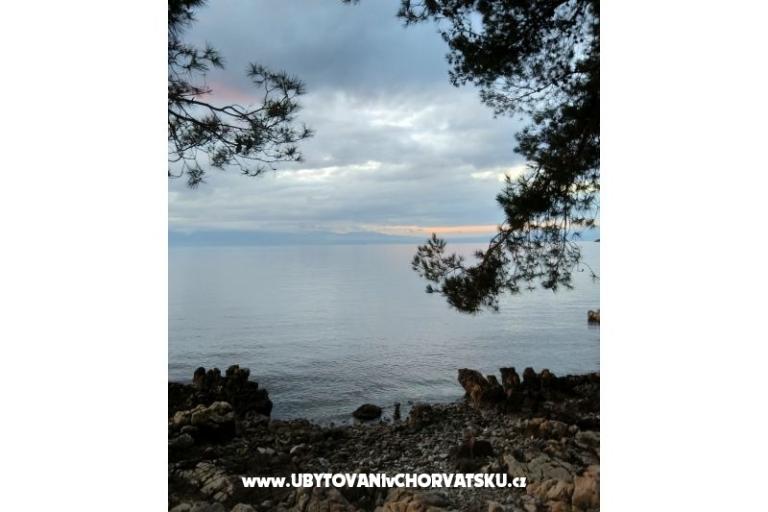 Apartmanok Topol – fotó 15