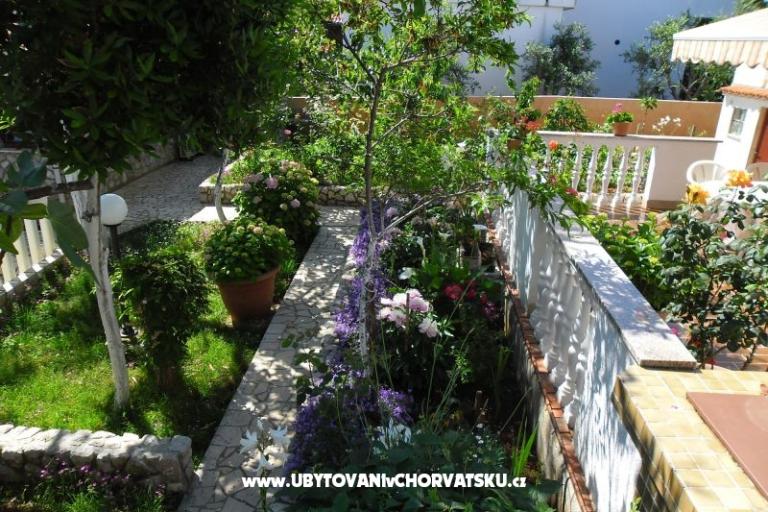 Apartmanok Milica – fotó 16