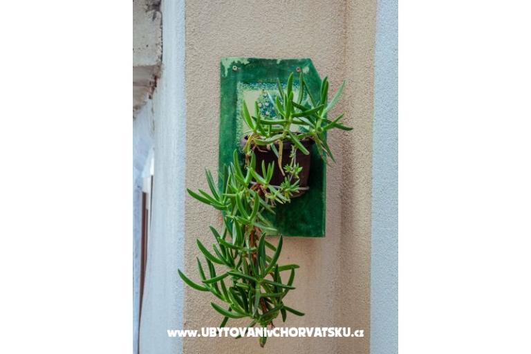 Apartmanok Funtana  – fotó 10