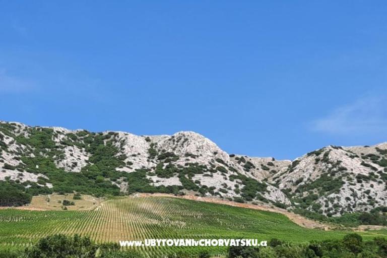 Rocky – fotó 2
