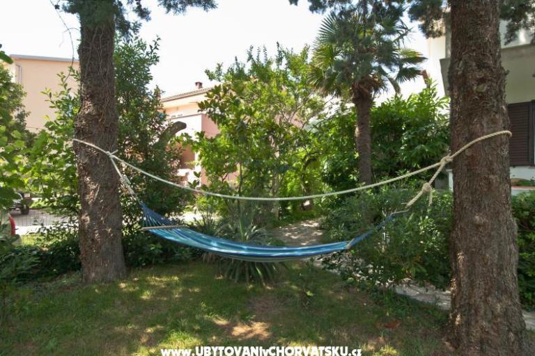 Sea Dream – fotó 3