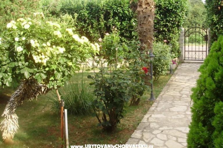 Apartman Mihael + free boat trip – fotó 16