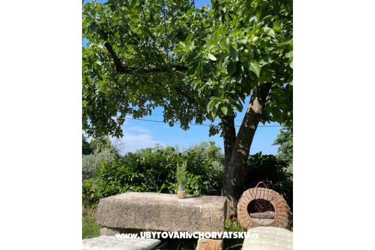 Vakáció Bepina – fotó 24