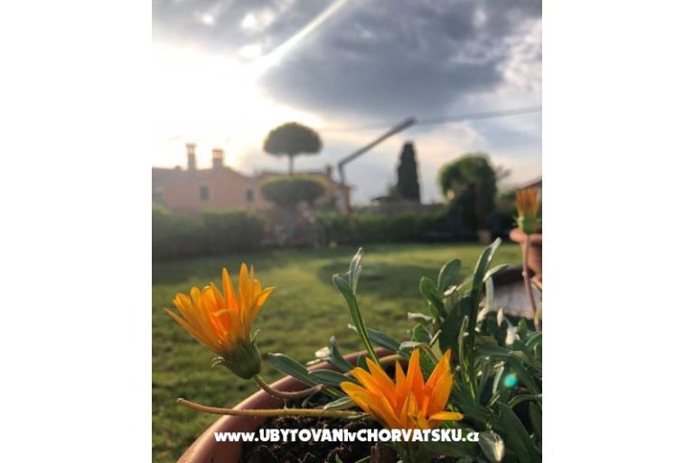 Vakáció Bepina – fotó 29