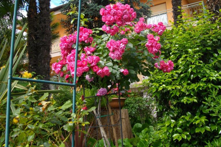 Apartman Ines – fotó 2