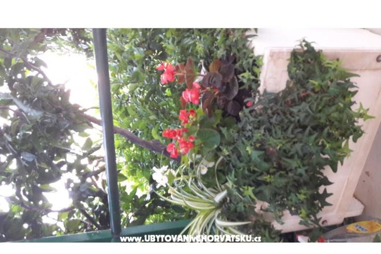Apartman Olga – fotó 9