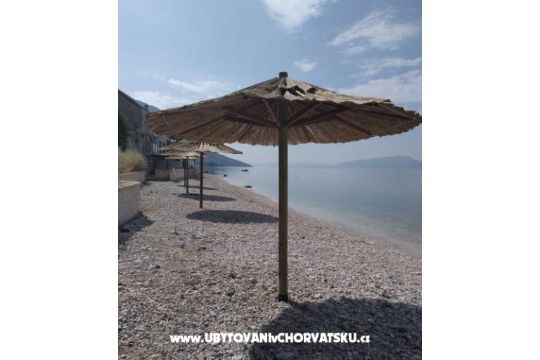Apartmanok Dalmata – fotó 6