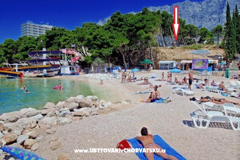 Apartmanok Neva plaža – fotó 3