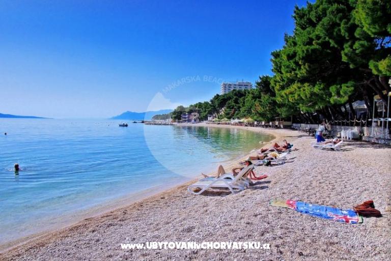 Apartmanok Neva plaža – fotó 6