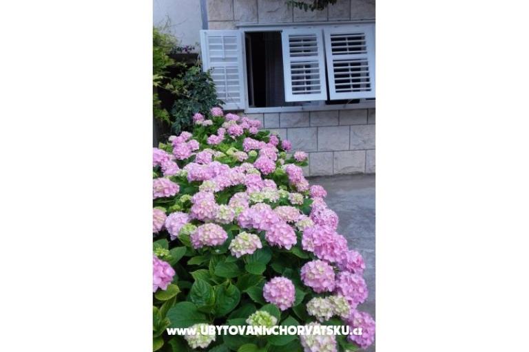 Apartmanok Jele – fotó 7