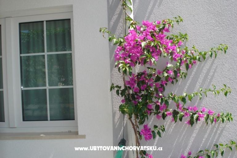 Apartmanok Milic – fotó 16