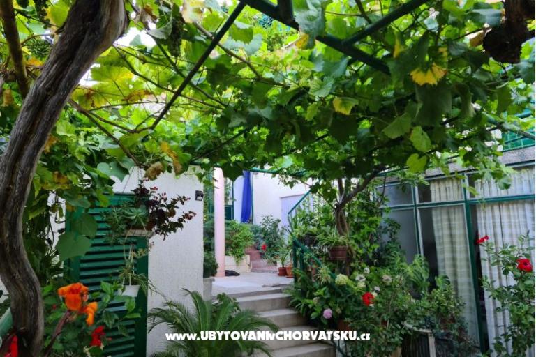 Apartmanok Vinea – fotó 2