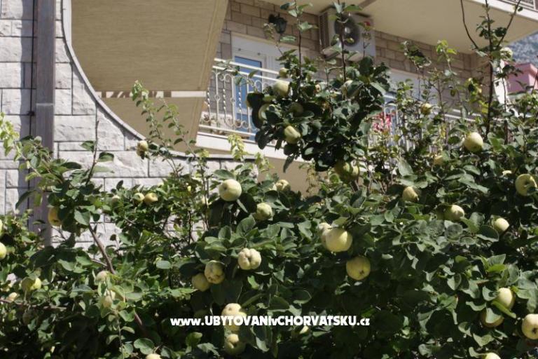 Hotel Makarska – fotó 16
