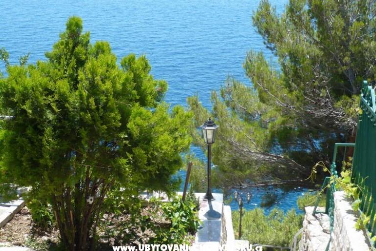 Apartmanok Sliskovic, 1. line to sea – fotó 8