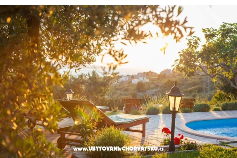 Rustic Oliveto – fotó 2