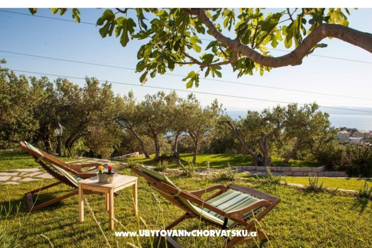 Rustic Oliveto – fotó 7