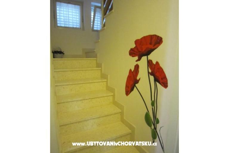 Villa Olga – fotó 9