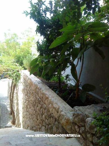 Vila Ventus – fotó 17