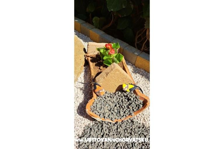 Apartmanok Avvi – fotó 23