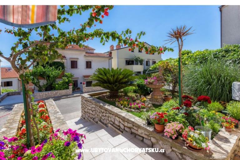 Apartmanok Ola – fotó 2