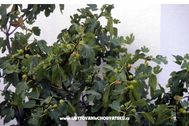 Apartmanok Marasović – fotó 6