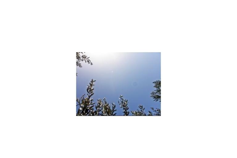 Apartmanok Periš Sevid – fotó 6