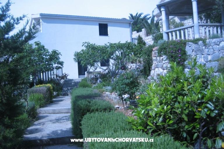 Apartmanok Punta  – fotó 2