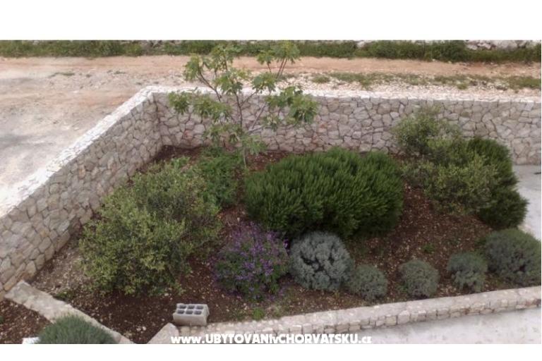 Apartman  Darija – fotó 15
