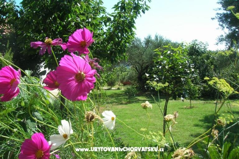 Apartmanok Mira &amp; Vinko – fotó 17