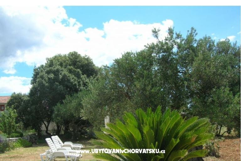 Apartmanok Mira &amp; Vinko – fotó 9