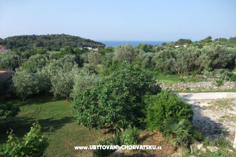 Adeksia apartment Premantura – fotó 10