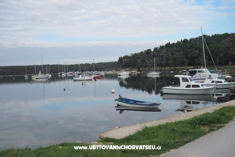 Alex 1 i Alex 2 – fotó 15