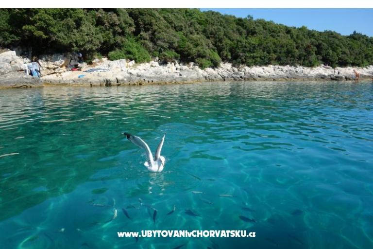 Apartmanok Ciceran – fotó 16