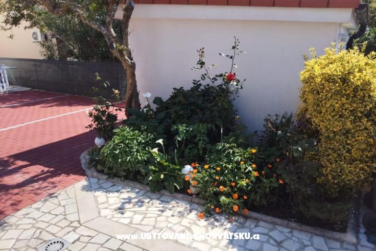 Apartmanok Mila-Casa Bianca  – fotó 6