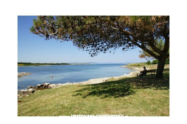 Apartmanok Tena – fotó 6
