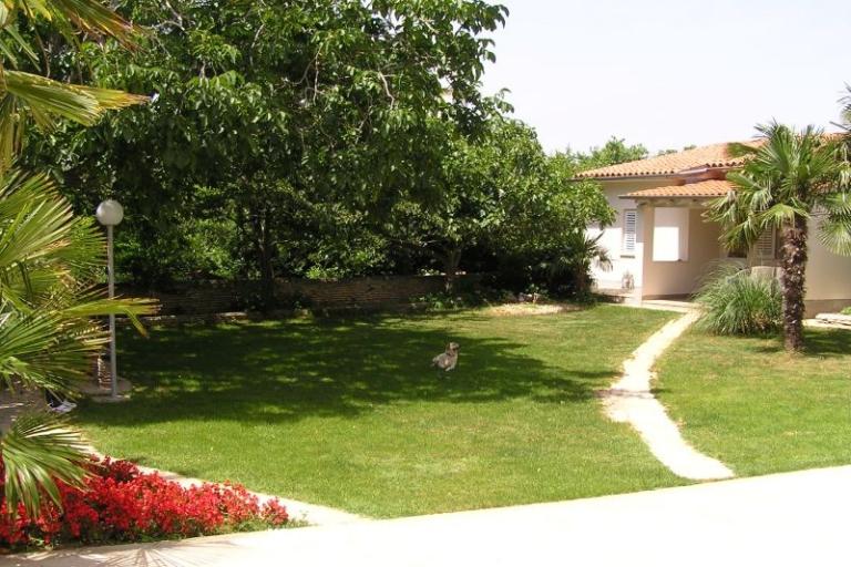 Apartmanok Paloma blanca - Oaza Reg – fotó 10